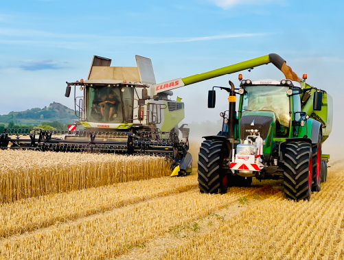 Sklizeň strojem Claas Lexion s lištou